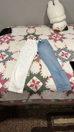 Hollister Pants Women