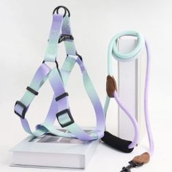 Large Leash/Harness