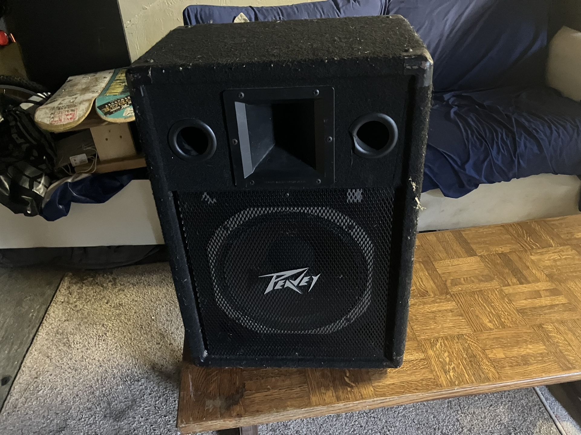 Peavy PA speaker
