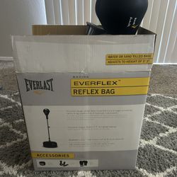 Everlast Reflex Punching Bag 