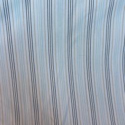 Pinstripe Dress Shirt