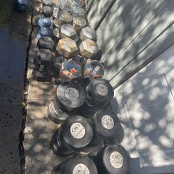 Workout Dumbbell Weights  