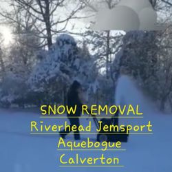 Snow Removal 
