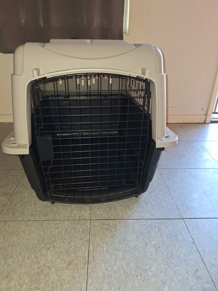 Dog Kennel