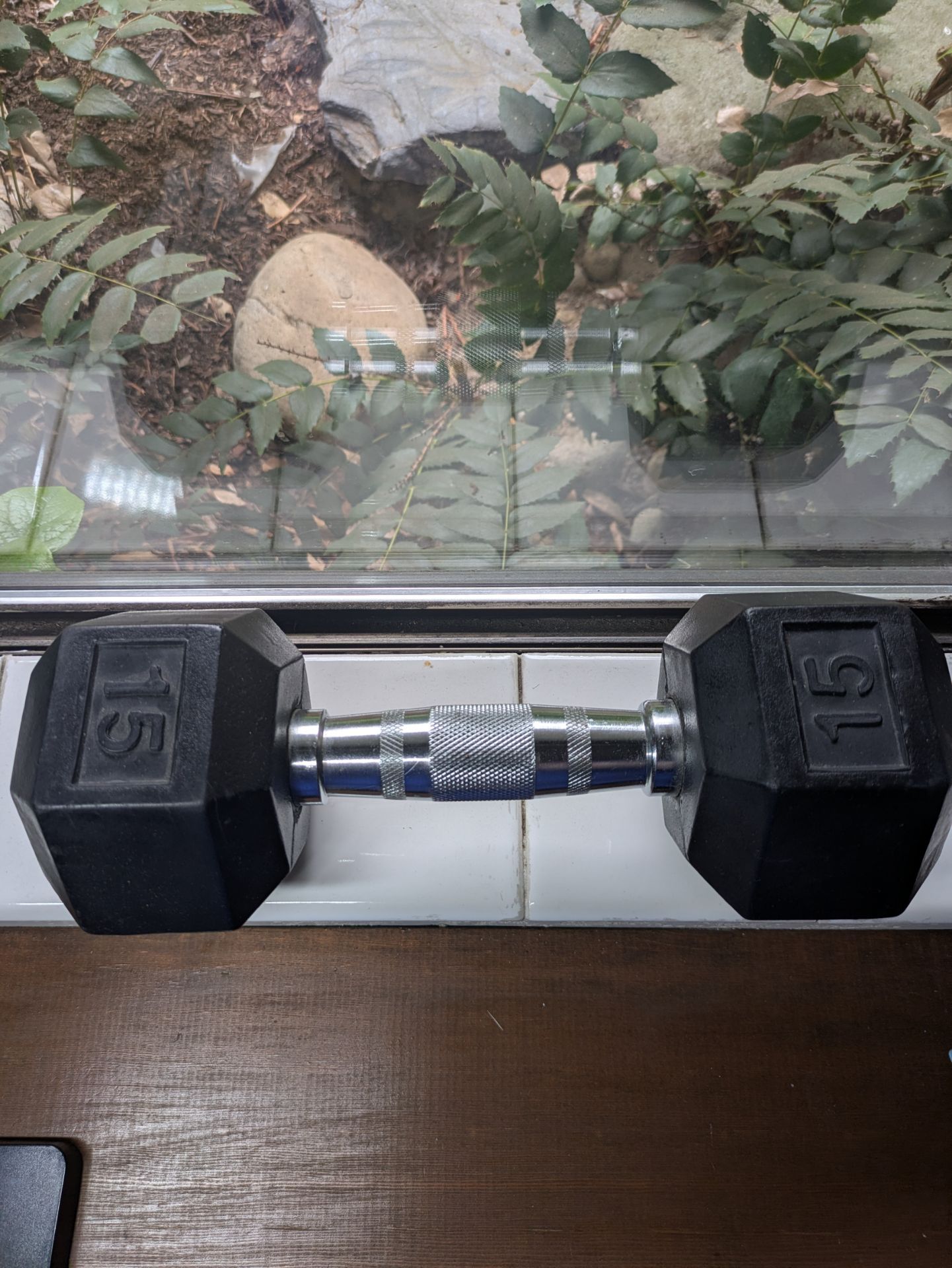 15lbs dumbbell