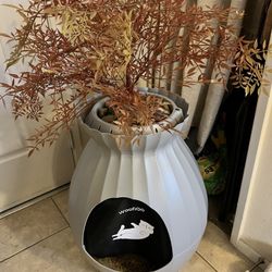Planter Litter Box