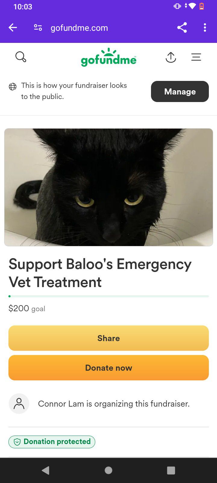 Help Support My Cat, Baloo