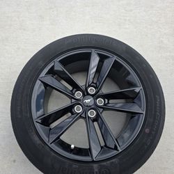 Mustang Tires & Whells