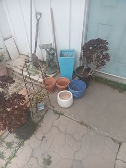 Pots And Plants 