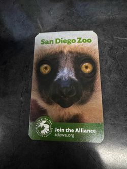 50% off Zoo tickets