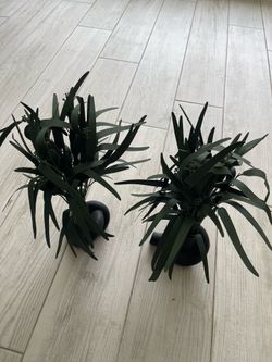 Artificial plants