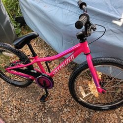Specialized Rip Rock 20 