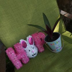 Easter Tin With Oyster Plant