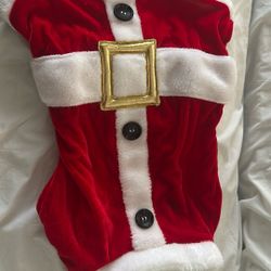 Santa Paws Dog Custom