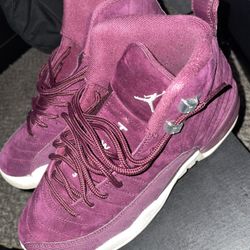 Air Jordan 12s Velvet 