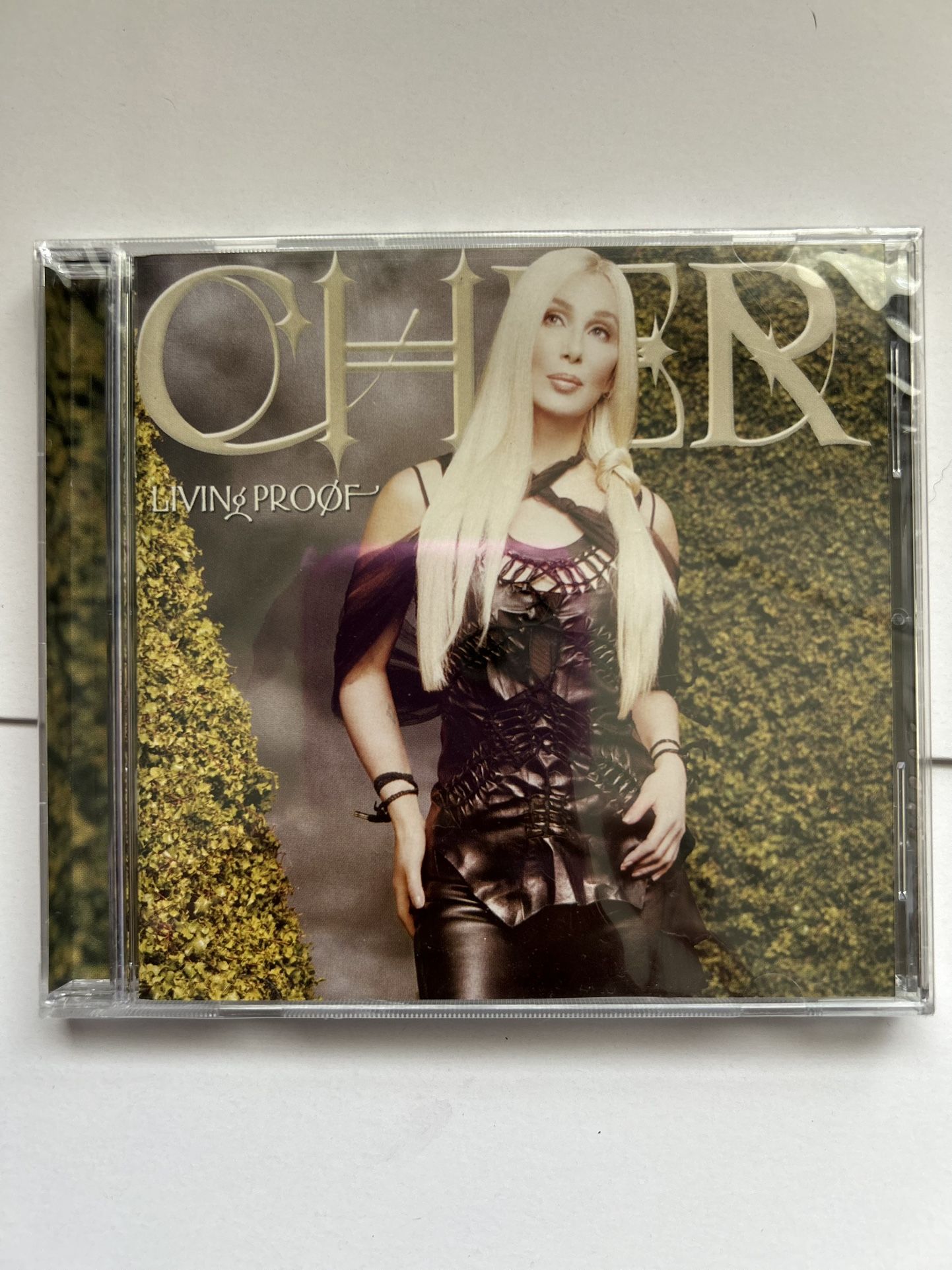 Living Proof By Cher