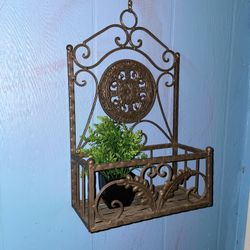 Metal Plant Holder/ Display 