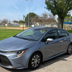 COROLLA LE HIBRIDO. (SALVAGE )