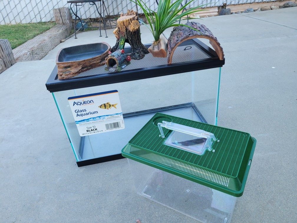 10 Gal Tank, Accessories +  Reptile Carry Case