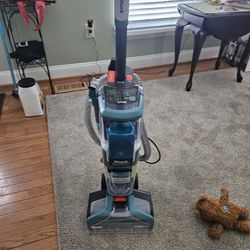 Shark Stain Striker 