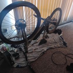 Radmission , heavily used, still works just needs the chain attached.