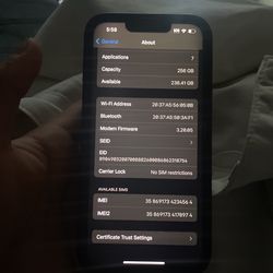 iPhone 13 256GB