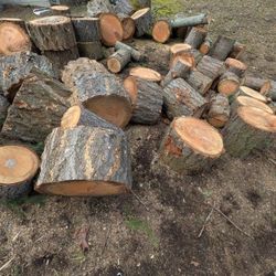 Free Firewood  - Fresh 