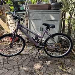 Magna women’s bike - rusty 24” Wheels 