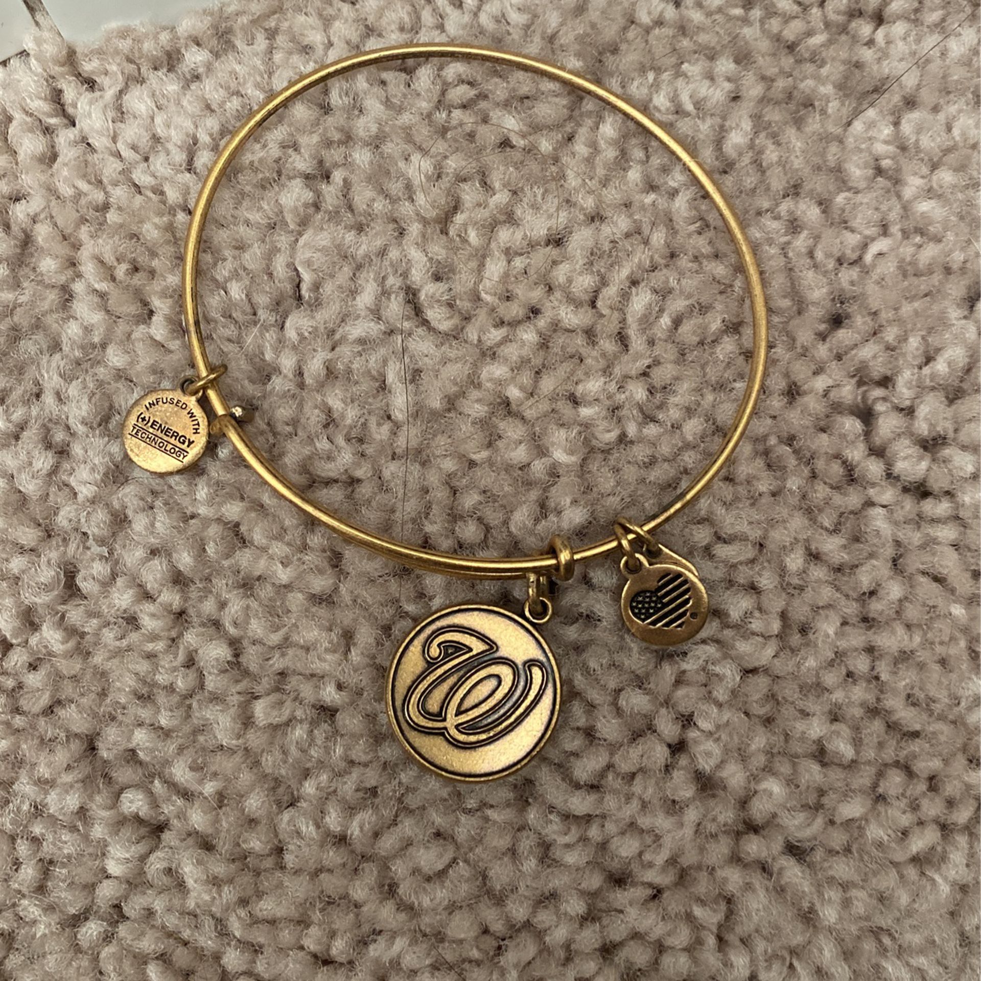 alex and ani nationals charm