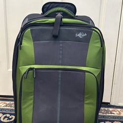 Unisex-Adult Bold Softside Expandable Upright Luggage, Olive/Black, Checked-Large 28-Inch