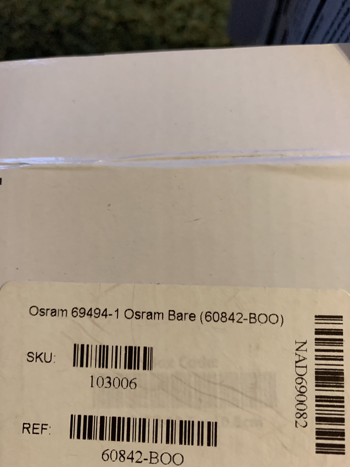 Projector bulb