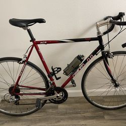Fuji Ace 4130 Road Bike