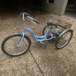 Schwinn Adult Tricycle 