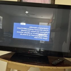 40” Parasonic TV