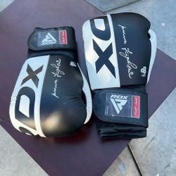 RDX Boxing Gloves 