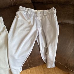 Baseball Pants