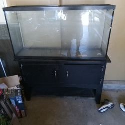 Fish Tank 