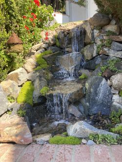 Waterfalls Koi Ponds 