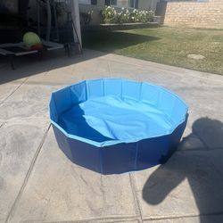 Small Dog Pool 