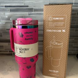 Stanley, Disney stitch 40 ounce Tumblr new inbox straw included