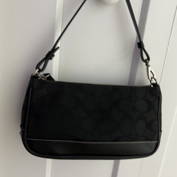 Small coach Demi bag