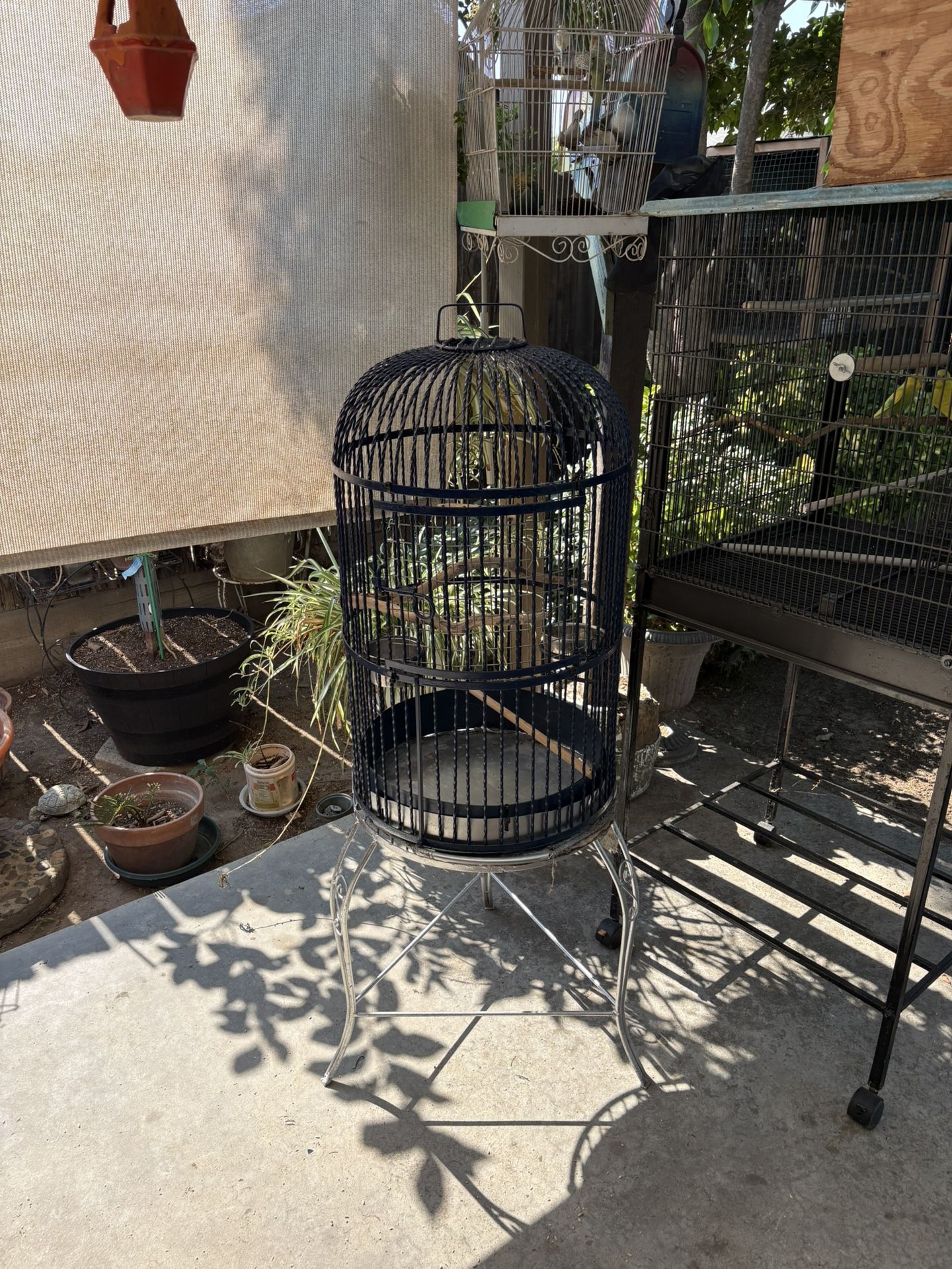 Birdcage