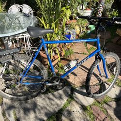 Bicycle - TREK Mountain Track