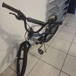 Schwinn Bike