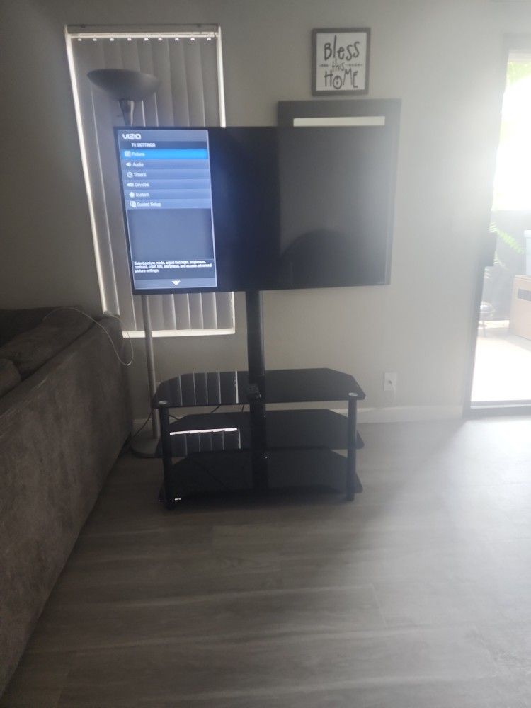 48" Vizio Big Screen With Stand