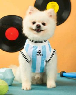 Argentina Pet Jersey 