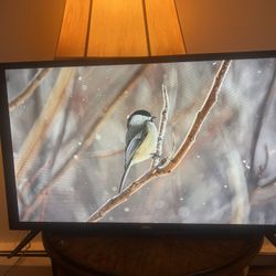 32”Roku Tv