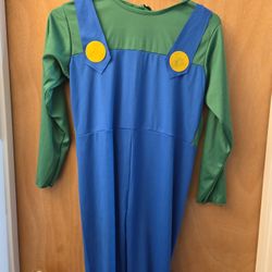 Luigi Costume Size 
