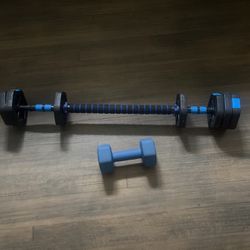 20 pound blue weight and detachable set $30