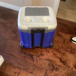 Igloo Cooler